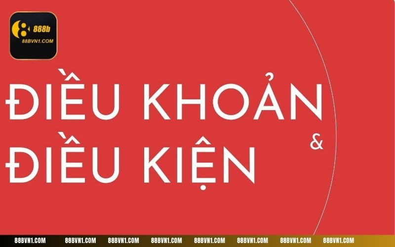 888B đặt ra các điều khoản rõ ràng với mong muốn xây dựng một cộng đồng cá cược văn minh 